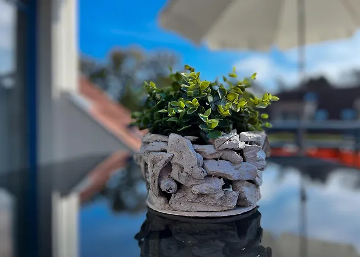 Papillon 03-5 Boltenhagen (Ostseebad)